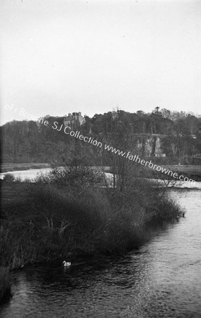 IN THE PASS OF KEIMANIGH CARRIGROHANE CASTLE ON LEE NEAR CORK